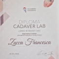 Ingrandire l'immagine: certificate 5