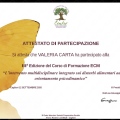 Ingrandire l'immagine: certificate 1