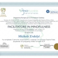Ingrandire l'immagine: certificate 8