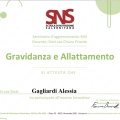 Ingrandire l'immagine: certificate 3