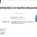 Ingrandire l'immagine: certificate 1