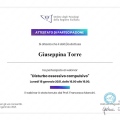 Ingrandire l'immagine: certificate 25