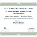 Ingrandire l'immagine: certificate 3