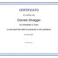 Ingrandire l'immagine: certificate 11