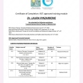 Ingrandire l'immagine: certificate 3