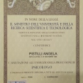 Ingrandire l'immagine: certificate 1