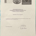 Ingrandire l'immagine: certificate 7