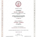 Ingrandire l'immagine: certificate 1