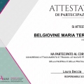 Ingrandire l'immagine: certificate 11