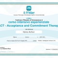 Ingrandire l'immagine: certificate 3