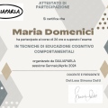 Ingrandire l'immagine: certificate 3