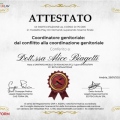 Ingrandire l'immagine: certificate 17