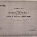 Ingrandire l'immagine: certificate 3