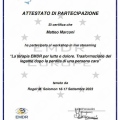 Ingrandire l'immagine: certificate 4