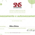 Ingrandire l'immagine: certificate 7