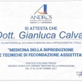 Ingrandire l'immagine: certificate 3