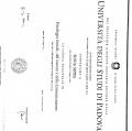 Ingrandire l'immagine: certificate 1