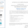 Ingrandire l'immagine: certificate 4