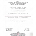 Ingrandire l'immagine: certificate 3