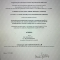 Ingrandire l'immagine: certificate 29