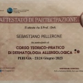 Ingrandire l'immagine: certificate 4