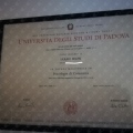 Ingrandire l'immagine: certificate 2