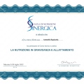 Ingrandire l'immagine: certificate 5
