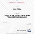 Ingrandire l'immagine: certificate 14