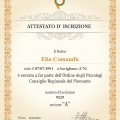 Ingrandire l'immagine: certificate 1