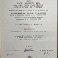 Ingrandire l'immagine: certificate 1