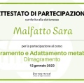 Ingrandire l'immagine: certificate 2