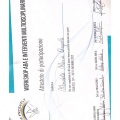 Ingrandire l'immagine: certificate 4