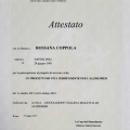Ingrandire l'immagine: certificate 2