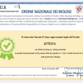 Ingrandire l'immagine: certificate 6
