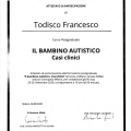 Ingrandire l'immagine: certificate 1