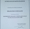 Ingrandire l'immagine: certificate 2