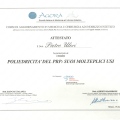 Ingrandire l'immagine: certificate 21
