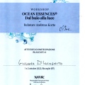 Ingrandire l'immagine: certificate 4