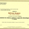 Ingrandire l'immagine: certificate 20
