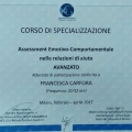 Ingrandire l'immagine: certificate 6