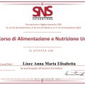 Ingrandire l'immagine: certificate 1