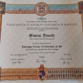 Ingrandire l'immagine: certificate 2