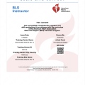 Ingrandire l'immagine: certificate 1