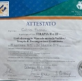 Ingrandire l'immagine: certificate 2