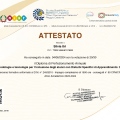 Ingrandire l'immagine: certificate 1