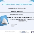 Ingrandire l'immagine: certificate 7