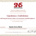Ingrandire l'immagine: certificate 5