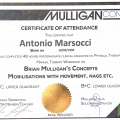 Ingrandire l'immagine: certificate 8