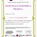 Ingrandire l'immagine: certificate 9