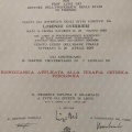 Ingrandire l'immagine: certificate 3